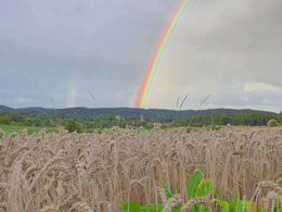 Göy qurşağı nə üçün və necə əmələ gəlir?