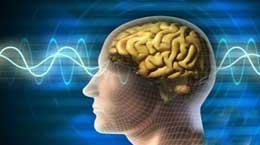 "Beyin" 10 milyard sinir hüceyrəsindən və bunlar arasında olan 100 trilyon əlaqədən ibarətdir